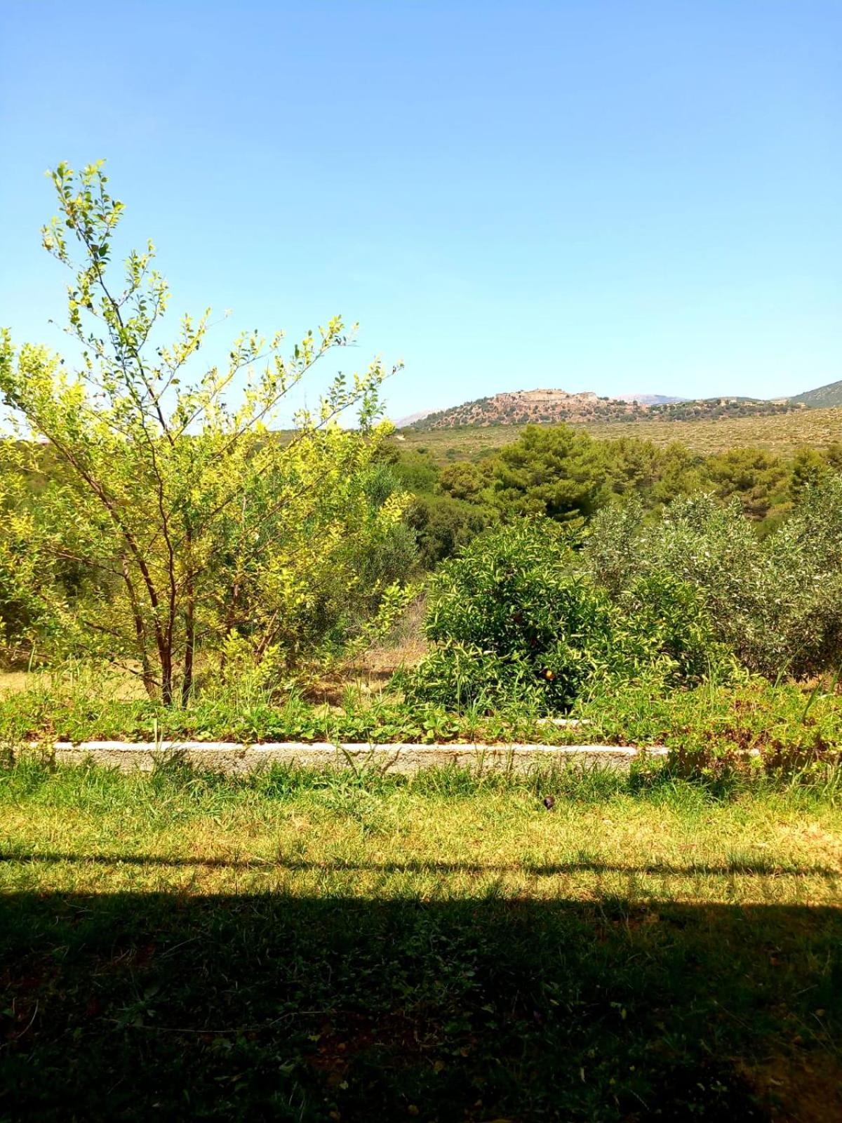 4T Apartments Argostoli  Exterior photo